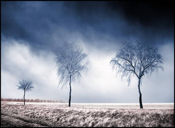 Three Birches infrared... by MichiLauke