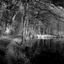 Lake Pano IR...