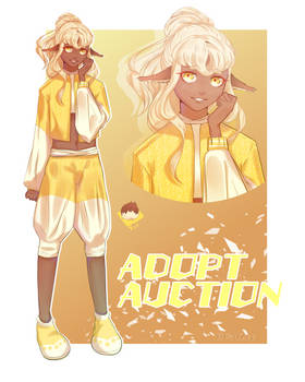 Adopt auction [open]