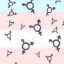 Wallpaper Transexual