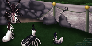 Event - Rock Throwing