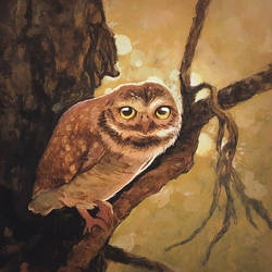 Owl sketch on acrylics