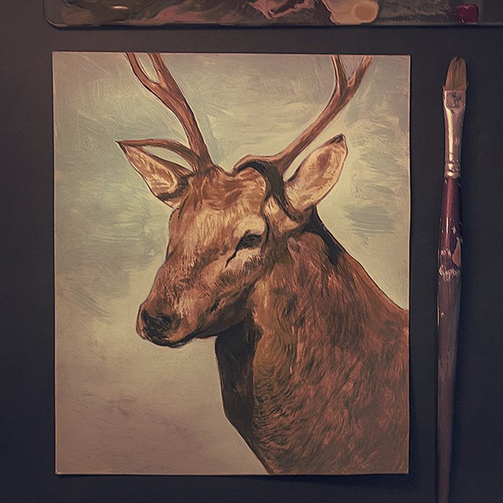 Deer sketch on acrylics