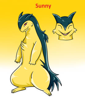 Sunny the Typhlosion