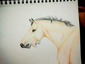 Colored pencil: Horse