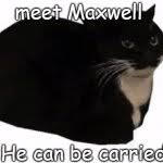 meet Maxwell