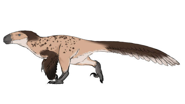 Mutidon Raptors RandalRobertPeckFan on DeviantArt