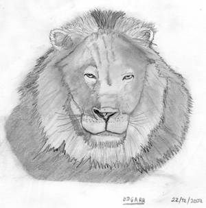 Lion head