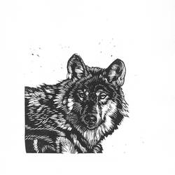 22.-Ali. Xilografia. 15x15 cms.