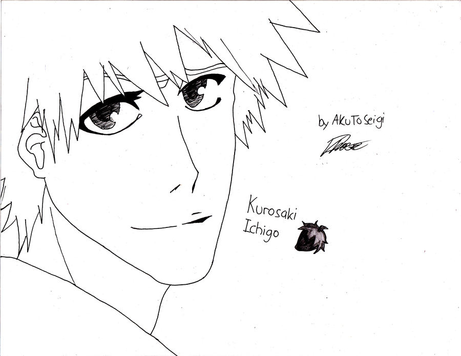 Kurosaki Ichigo : updated