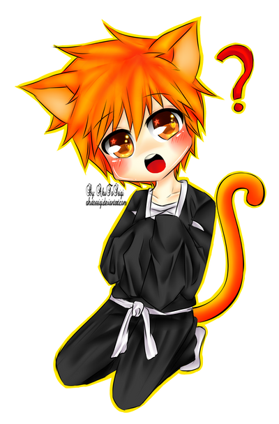 Neko Ichigo