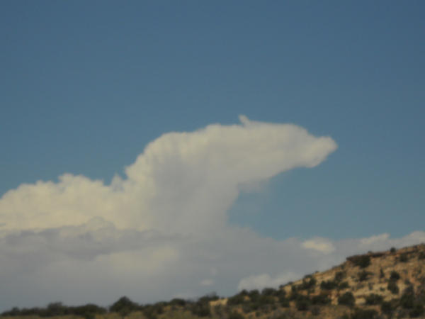 Cloud Wolf
