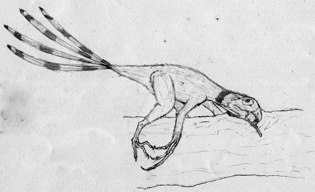 Epidexipteryx hui
