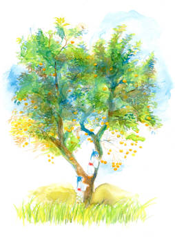 kaki tree