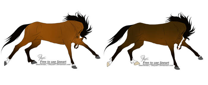 Belgian Warmblood Adopts - Open