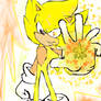 Super Sonic muro