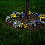 Mixed flowers