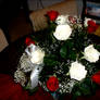 Red and White Roses
