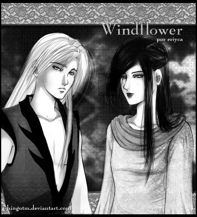 Windflower