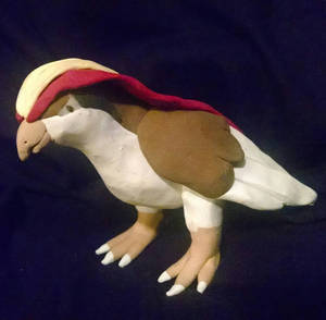 Pidgeot