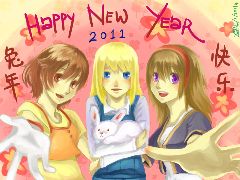 Happy New Year 2011