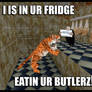Stupid Internet Meme