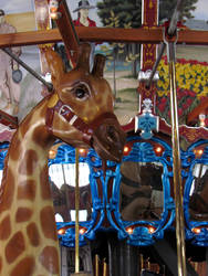 Carousel 6