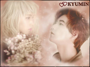 KyuMin Wallpaper