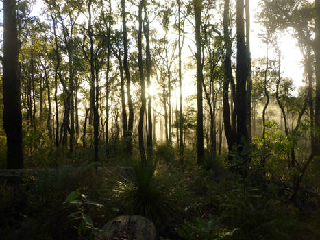 Trail Running