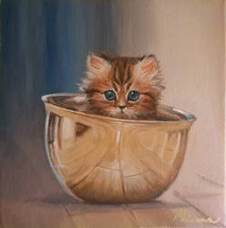 Bowl Kitten
