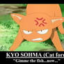 Kyo Sohma - Cat form