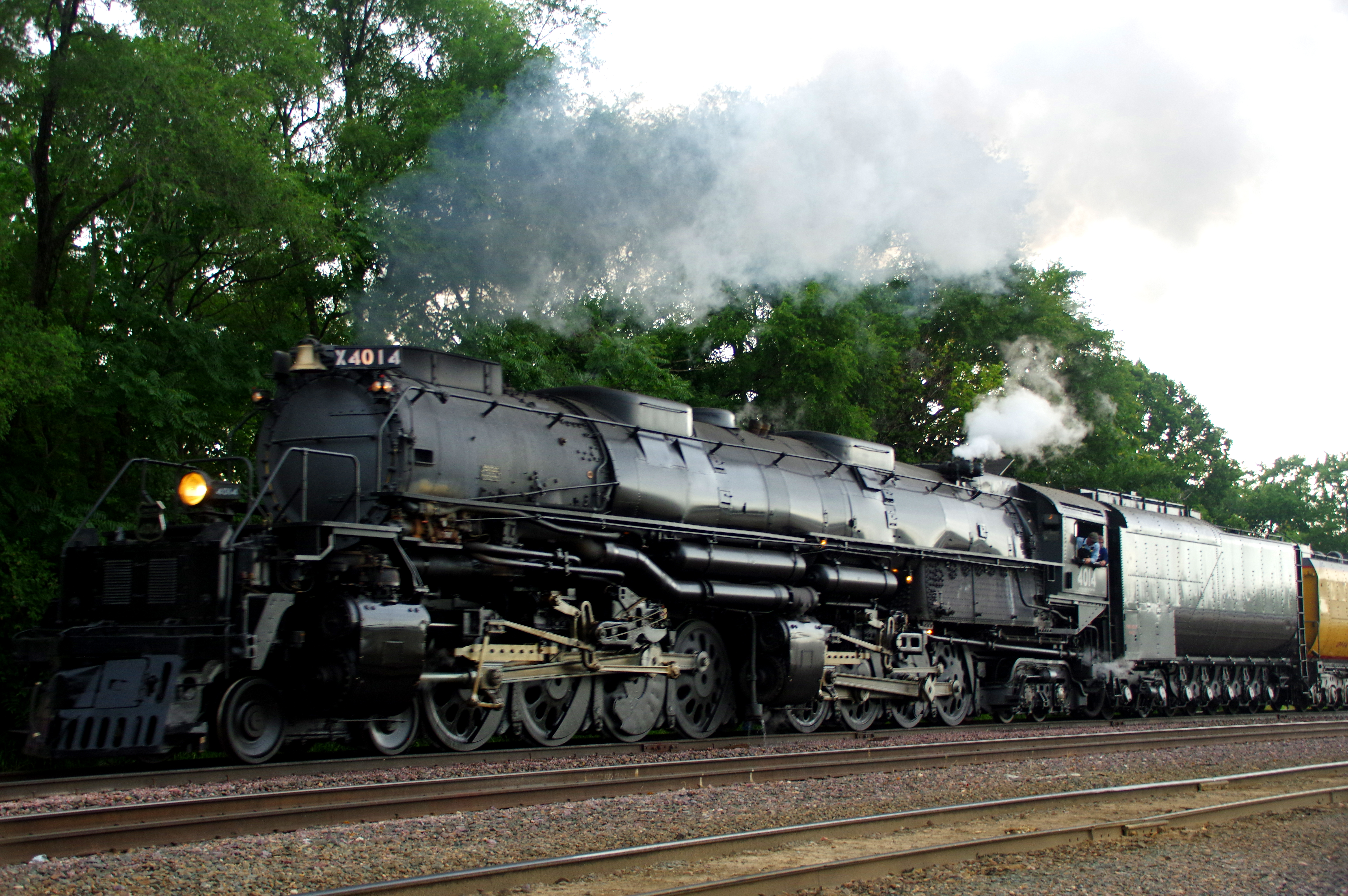 Long Dark and Handsome