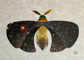 Cosmic Moth