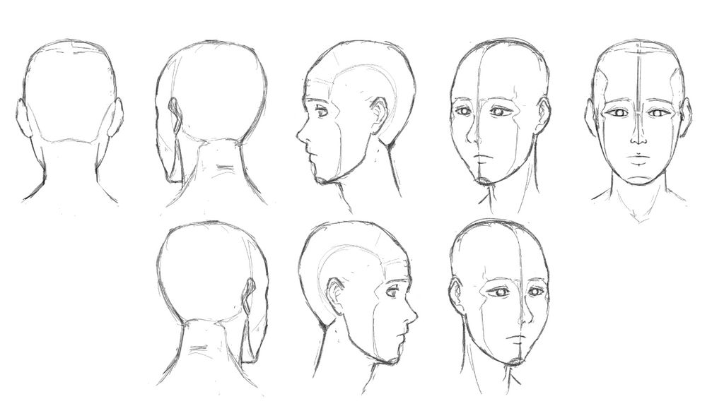 Fall Head First Reference Day 47 head reference sheet for later by mei-93 on DeviantArt