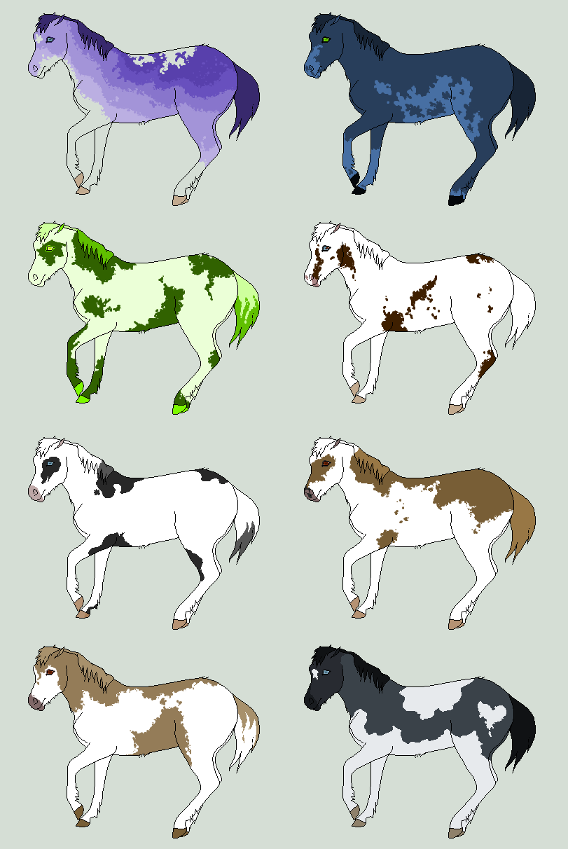 Equine adoptables number.. unknown.