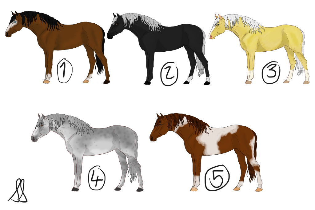 Iberian Adopts 1