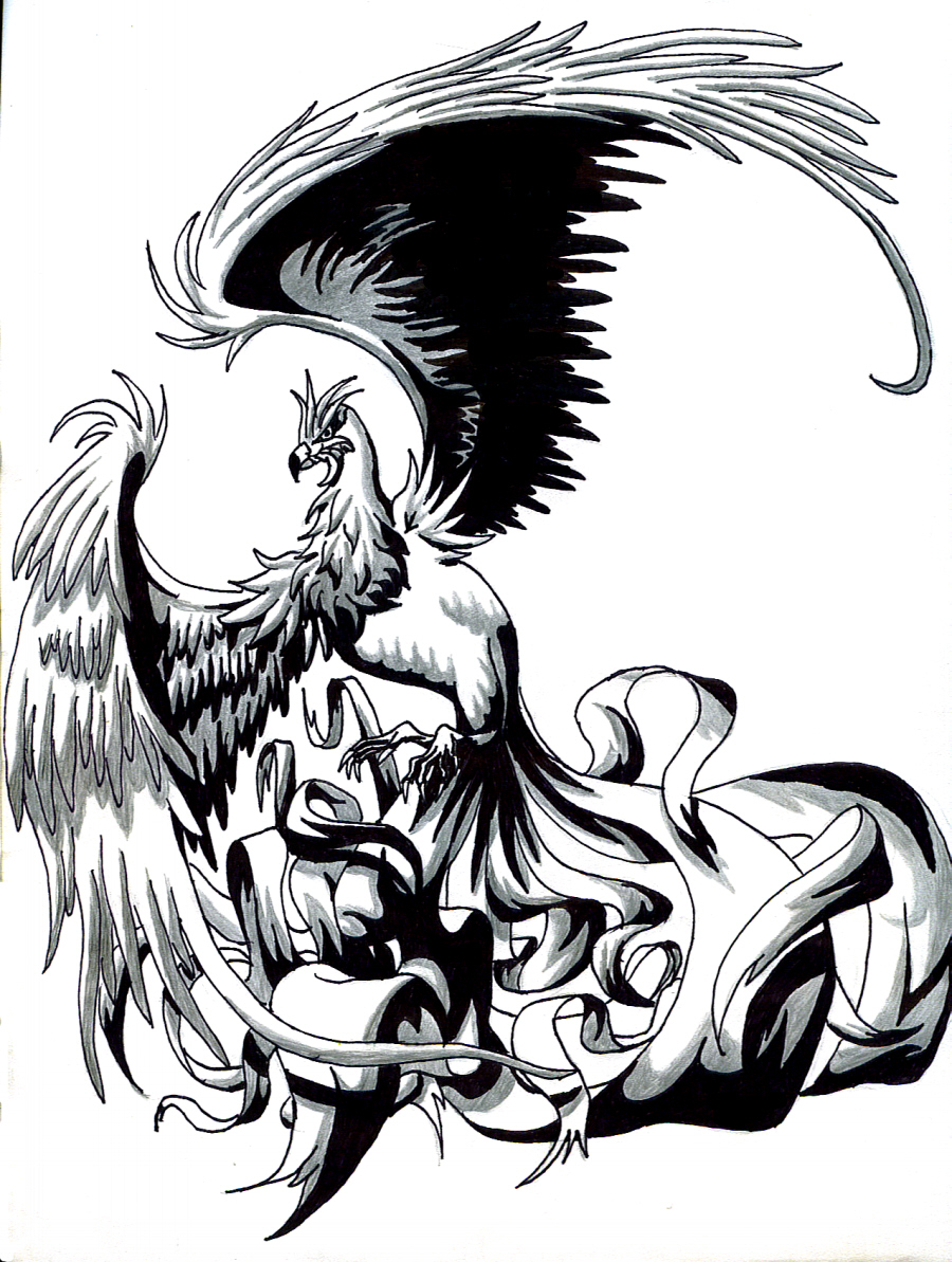 Феникс эскиз чб