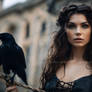 The girl and the raven 6