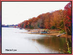 Seasons Change by meljoy68