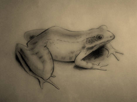 Frog Pencil