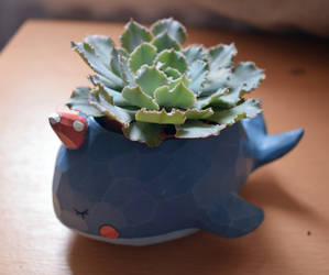 Sassy Succulent Narwhal Queen 3