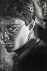 Harry and Draco Drawing