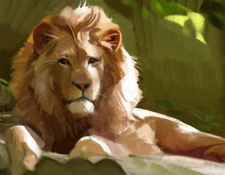 Lion