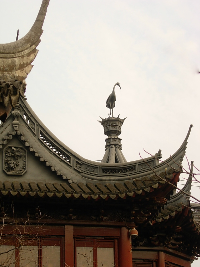 Bird on a Roof