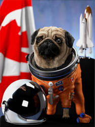 Canadian Space Pug