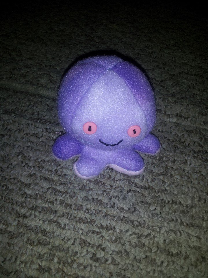 Small Purple Octopus