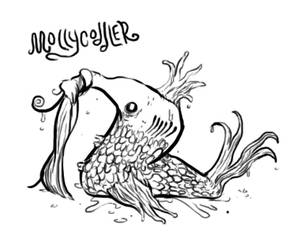 A Mollycoddler Fish!