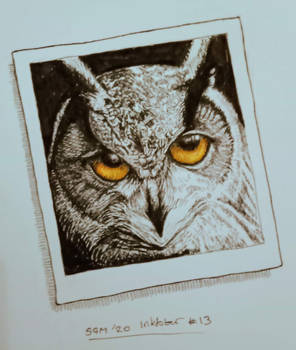 Inktober day 13 - Owl Polaroid