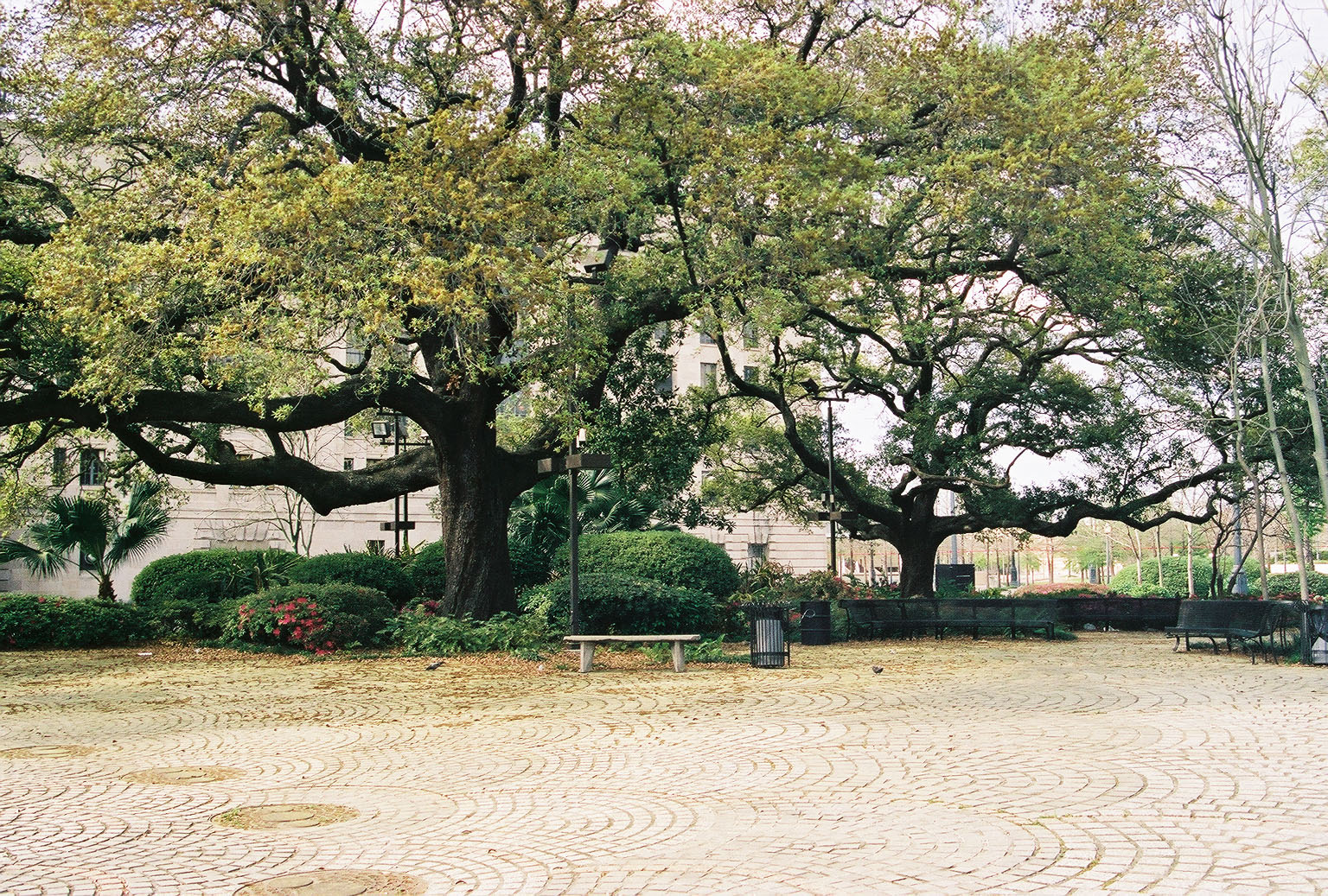 Congo Square - New Orleans