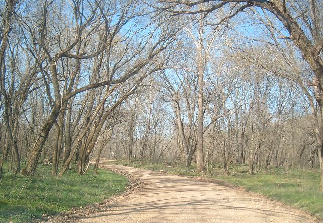 Nature-Road Stock 1